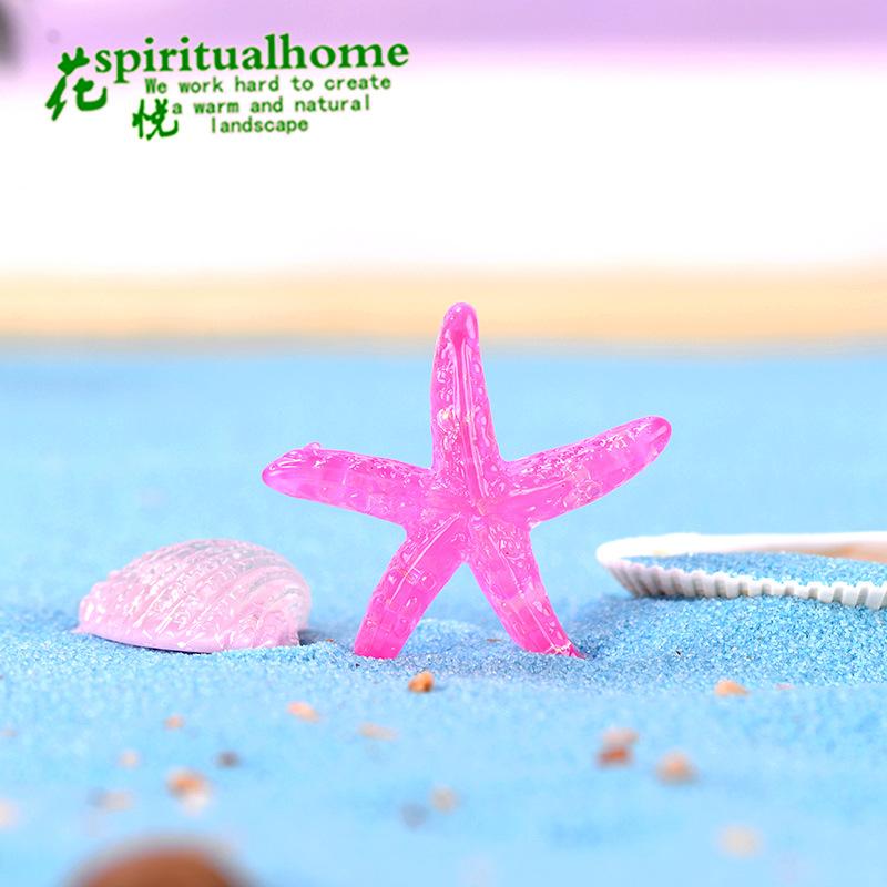 Phụ Kiện Tiểu Cảnh Sao biển và vỏ sò mini resin trang trí ốp điện thoại (ZC-757)