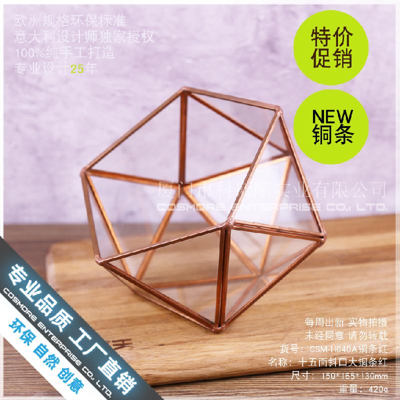 Chậu Đa Giác Nhà kính 15 mặt viền đồng, hoa bất tử (DG-166)