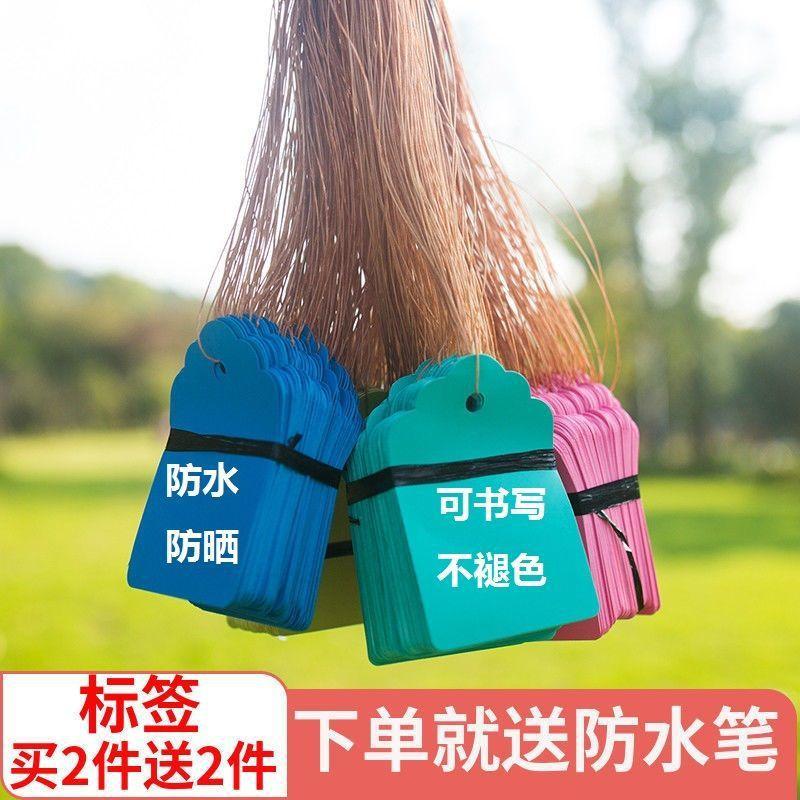Phụ Kiện Tiểu Cảnh Thẻ đánh dấu cây chống nước, bền màu cho vườn (BS-20)