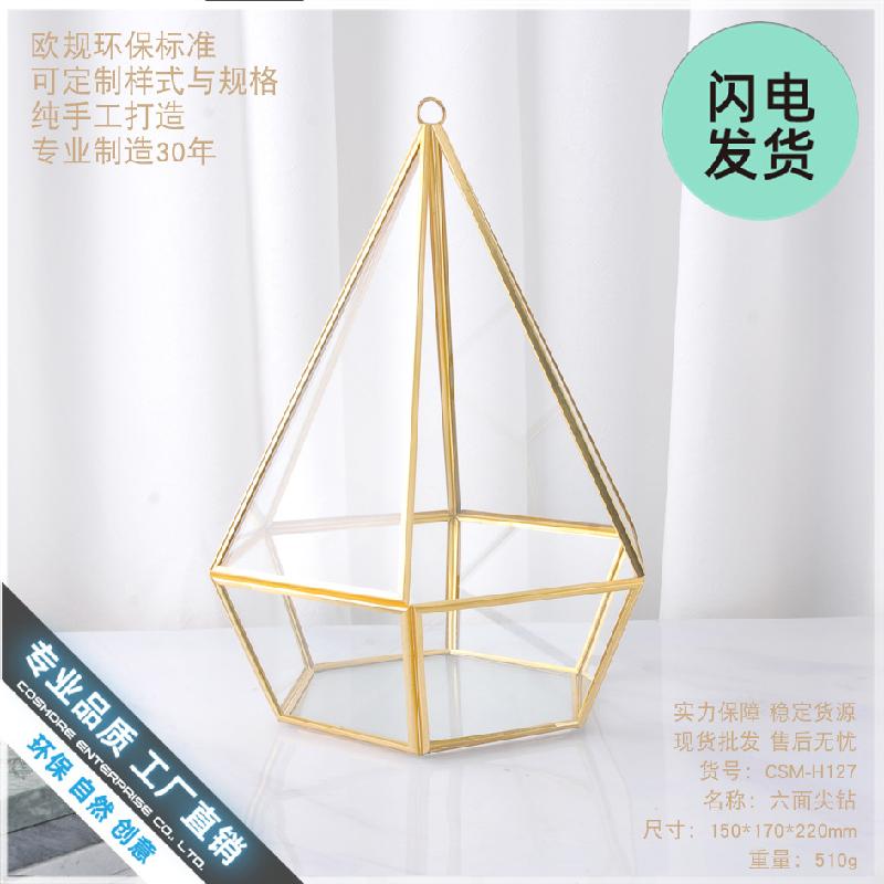 Chậu Đa Giác Nhà kính hình học hoa khô, hoa bất tử decor (DG-129)