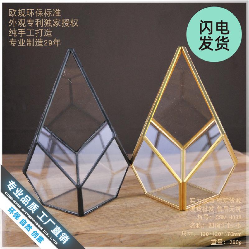 Chậu Đa Giác Bình hoa kính trong suốt đa năng, chậu sen đá, tiểu cảnh mini (DG-50)