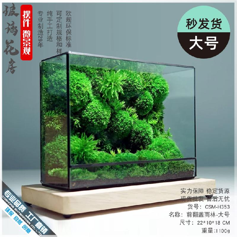 Chậu Đa Giác Nhà kính Terrarium hình học rêu cảnh (DG-11)
