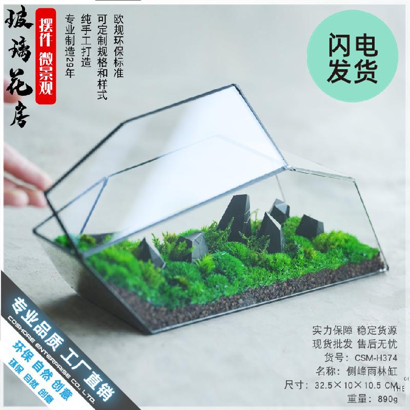 Chậu Đa Giác Bể Terrarium rêu cảnh, tường cây, bể cá kính (DG-64)
