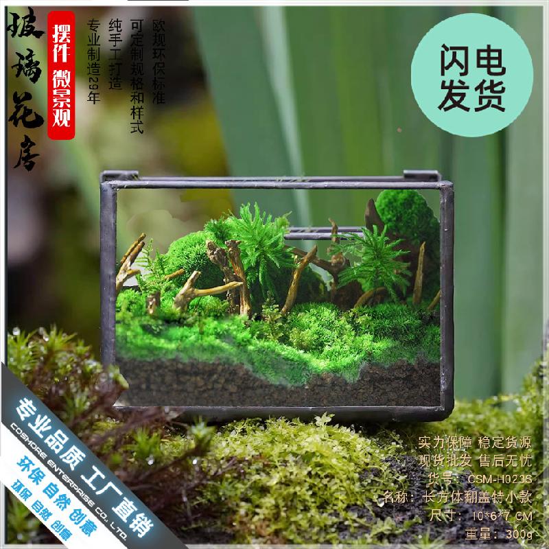 Chậu Đa Giác Hộp kính Terrarium rêu cảnh để bàn (DG-13)