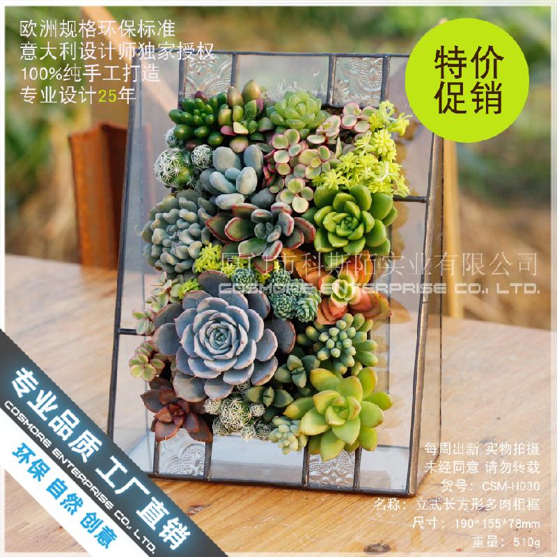 Chậu Đa Giác Nhà kính khung đứng Terrarium sen đá (DG-222)