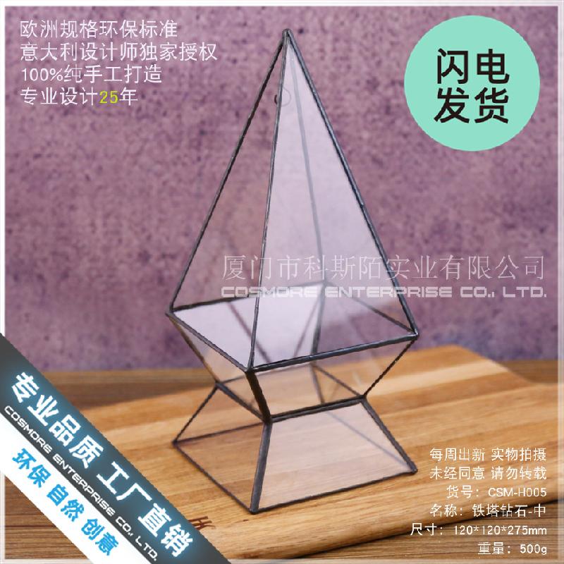 Chậu Đa Giác Bình sinh thái rêu cảnh DIY để bàn (DG-198)