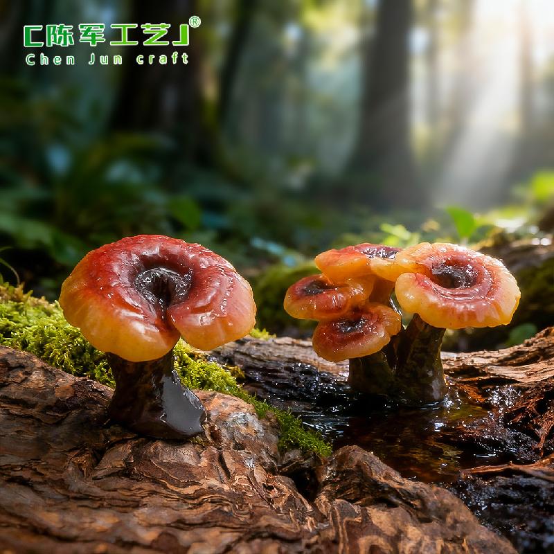 Phụ Kiện Tiểu Cảnh ZC-1754