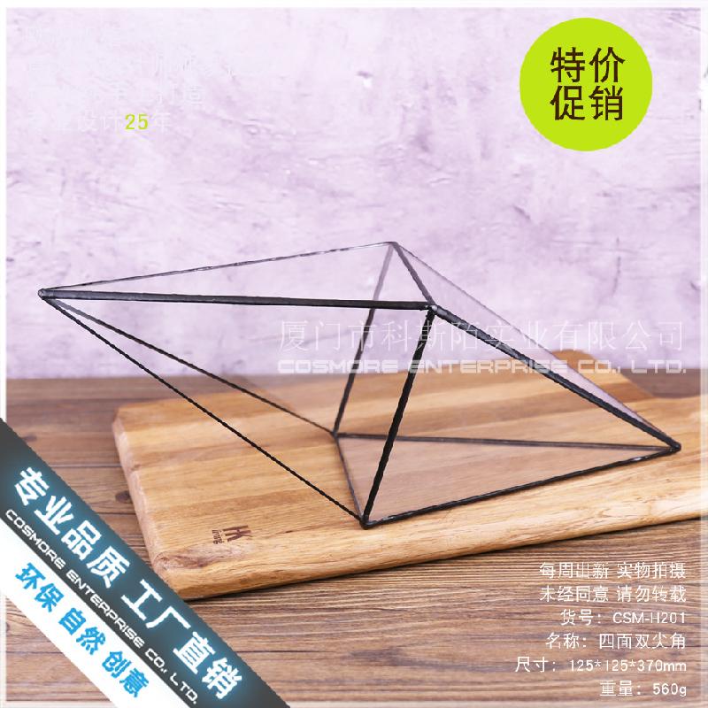 Chậu Đa Giác Bình sinh thái rêu cảnh DIY, chậu cây mini (DG-164)