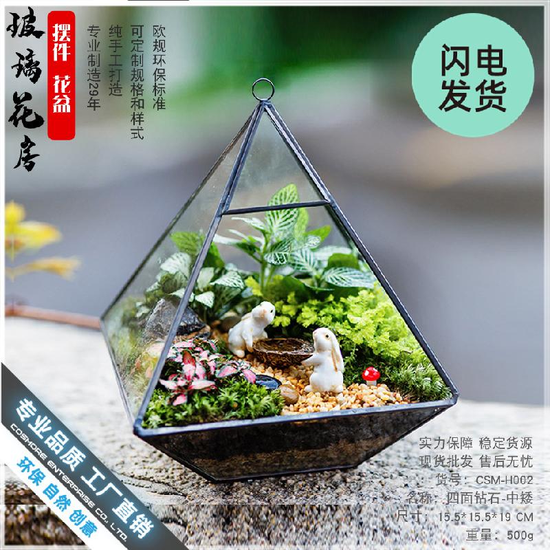 Chậu Đa Giác Chụp kính hoa bất tử Terrarium (DG-36)